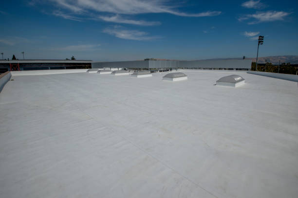 Best Rubber Roofing (EPDM, TPO)  in St Augustine, FL