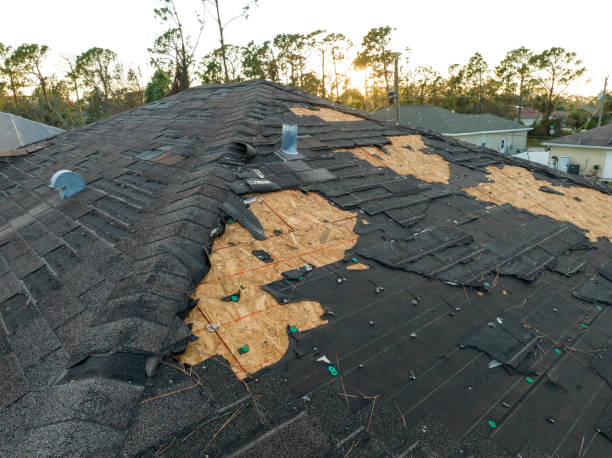 Best Roof Coating Services  in St Augustine, FL